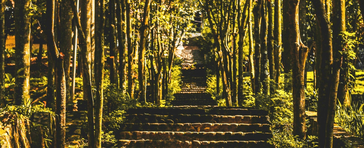 Image of staircase